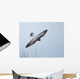 Peregrine Falcon Wall Mural