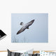 Peregrine Falcon Wall Mural