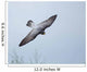Peregrine Falcon Wall Mural
