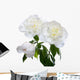 weisse Pfingstrose Wall Decal