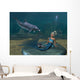 Little Mermaid Wall Mural