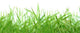 Garden Wall Decal Design 3