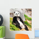 Giant panda Wall Mural