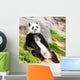 Giant panda Wall Mural