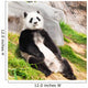 Giant panda Wall Mural
