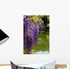 Close-up of Wisteria in Japanese Garden Wall Mural