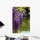Close-up of Wisteria in Japanese Garden Wall Mural