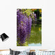 Close-up of Wisteria in Japanese Garden Wall Mural