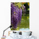 Close-up of Wisteria in Japanese Garden Wall Mural