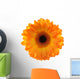 Gerbera Wall Decal