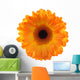 Gerbera Wall Decal