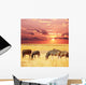Zebras Wall Mural