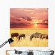 Zebras Wall Mural