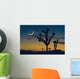 Sunset In Joshua Tree National Park Wall Mural