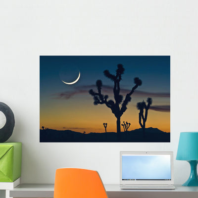Sunset Joshua Tree National Wall Mural shown on a wall