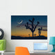 Sunset In Joshua Tree National Park Wall Mural