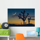 Sunset In Joshua Tree National Park Wall Mural