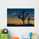 Sunset In Joshua Tree National Park Wall Mural
