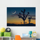 Sunset In Joshua Tree National Park Wall Mural