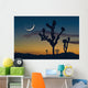 Sunset In Joshua Tree National Park Wall Mural
