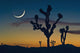 Sunset In Joshua Tree National Park Wall Mural