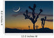 Sunset In Joshua Tree National Park Wall Mural