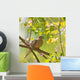Mourning Dove, Zenaida macroura Wall Mural