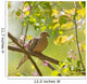 Mourning Dove, Zenaida macroura Wall Mural