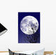 Full moon Wall Mural