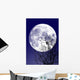 Full moon Wall Mural
