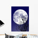 Full moon Wall Mural