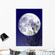 Full moon Wall Mural
