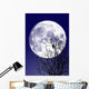 Full moon Wall Mural
