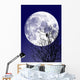 Full moon Wall Mural