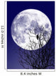 Full moon Wall Mural