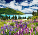 Lake Tekapo, New Zealand Wall Mural