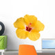 Yellow hibiscus isolated on white Wall Decal