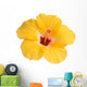 Yellow hibiscus isolated on white Wall Decal
