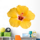 Yellow hibiscus isolated on white Wall Decal