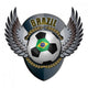 Brazil Soccer Ball with