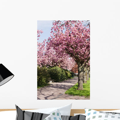 Blossoming Cherry Trees Wall Mural shown on a wall
