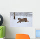 A female Lynx running Wall Mural