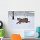 A female Lynx running Wall Mural