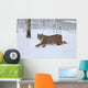 A female Lynx running Wall Mural