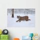 A female Lynx running Wall Mural