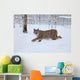 A female Lynx running Wall Mural