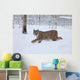 A female Lynx running Wall Mural