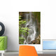Beautiful Waterfall Forest Wall Mural