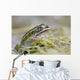 Northern Leopard Frog Wall Mural