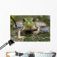 Green Frog Wall Mural
